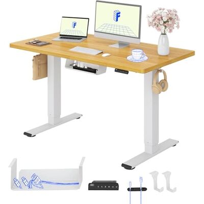 FLEXISPOT Bureau debout électrique à 2 moteurs 120 x 60 cm en une pièce, avec panneau de fonction mémoire, table électrique réglable en hauteur, charge de 100 kg, blanc + érable FLEXISPOT Bureau debout électrique à 2 moteurs 120 x 60 cm en une pièce, avec panneau de fonction mémoire, table électrique réglable en hauteur, charge de 100 kg, blanc + érable