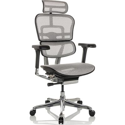 hjh OFFICE ERGOHUMAN 652275 Fauteuil de bureau ergonomique en filet avec soutien lombaire flexible Gris clair hjh OFFICE ERGOHUMAN 652275 Fauteuil de bureau ergonomique en filet avec soutien lombaire flexible Gris clair