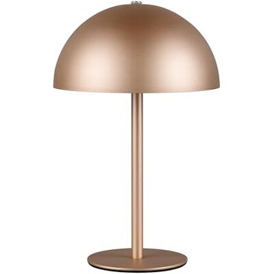 RL LIVE YOUR LIGHT Reality Leuchten Munoz R54891165 Lampe de table à LED sur batterie avec 4 touches tactiles en métal Café 1,3 W RL LIVE YOUR LIGHT Reality Leuchten Munoz R54891165 Lampe de table à LED sur batterie avec 4 touches tactiles en métal Café 1,3 W
