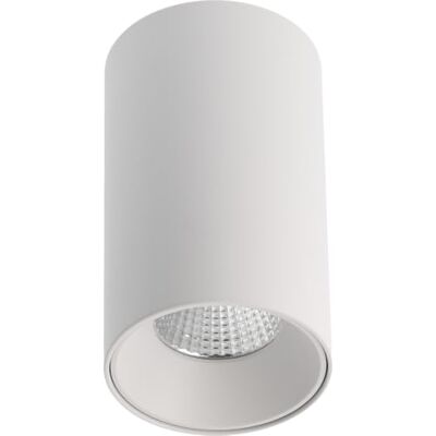 GTV Spot de plafond LED de surface Prime, 10 W 1000 lm, lumière neutre 4 000 K, angle 36, IP20, Downlight cylindrique en aluminium pour salon et couloir, blanc GTV Spot de plafond LED de surface Prime, 10 W 1000 lm, lumière neutre 4 000 K, angle 36, IP20, Downlight cylindrique en aluminium pour salon et couloir, blanc