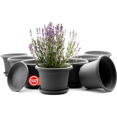 BigDean Lot de 8 pots de fleurs ronds avec soucoupe Diamètre : 25 cm Anthracite Résistant aux intempéries BigDean Lot de 8 pots de fleurs ronds avec soucoupe Diamètre : 25 cm Anthracite Résistant aux intempéries