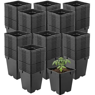 Garronda Pot de Fleur Carré en Plastique 11 × H 12 cm (1L) Lot 200 Godets Semis Pots de Pépinière avec Drainage Résistants Intempéries pour Culture Plantes Jardin Serre Intérieur Extérieur GD-0199 Garronda Pot de Fleur Carré en Plastique 11 × H 12 cm (1L) Lot 200 Godets Semis Pots de Pépinière avec Drainage Résistants Intempéries pour Culture Plantes Jardin Serre Intérieur Extérieur GD-0199