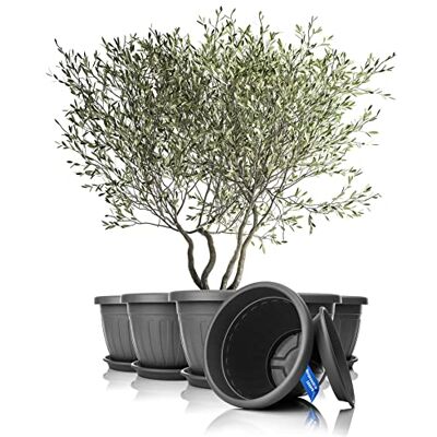 BigDean Lot de 6 pots de fleurs ronds avec soucoupe Ø 50 x H 38 cm Anthracite – Pot de fleurs résistant aux intempéries – Évacuation de l'eau en plastique incassable – Convient pour l'intérieur et l'extérieur – Fabriqué en Europe BigDean Lot de 6 pots de fleurs ronds avec soucoupe Ø 50 x H 38 cm Anthracite – Pot de fleurs résistant aux intempéries – Évacuation de l'eau en plastique incassable – Convient pour l'intérieur et l'extérieur – Fabriqué en Europe