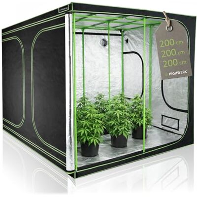 HIGHWERK Tente de Culture 200 x 200 x 200 cm Culture Maison « MyHomeGrow », Noir Vert Tente de Culture d'intérieur pour la Culture de Plantes HIGHWERK Tente de Culture 200 x 200 x 200 cm Culture Maison « MyHomeGrow », Noir Vert Tente de Culture d'intérieur pour la Culture de Plantes