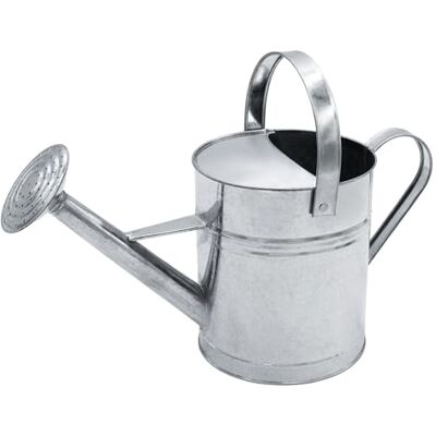 Spetebo Arrosoir de jardin en zinc argenté avec long bec et douchette – 5 l Arrosoir en métal galvanisé à chaud durable pour l'intérieur et l'extérieur Arrosoir vintage en métal rétro en zinc vieilli Spetebo Arrosoir de jardin en zinc argenté avec long bec et douchette – 5 l Arrosoir en métal galvanisé à chaud durable pour l'intérieur et l'extérieur Arrosoir vintage en métal rétro en zinc vieilli
