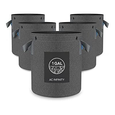 Infinity Lot de 5 pots de culture en tissu robuste de 4 l avec 500 g de tissu non tissé épais et anneaux polyvalents pour l'entraînement des plantes, fruits, légumes et fleurs Infinity Lot de 5 pots de culture en tissu robuste de 4 l avec 500 g de tissu non tissé épais et anneaux polyvalents pour l'entraînement des plantes, fruits, légumes et fleurs