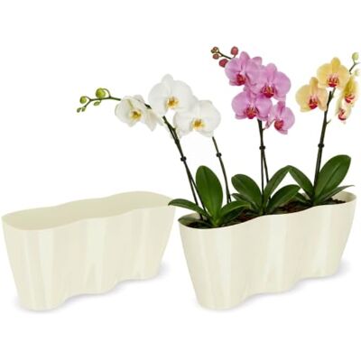 KADAX Pot de fleurs pour intérieur Orchidées Plante, rebord de fenêtre Pot à orchidées 35 x 12 cm Crème KADAX Pot de fleurs pour intérieur Orchidées Plante, rebord de fenêtre Pot à orchidées 35 x 12 cm Crème
