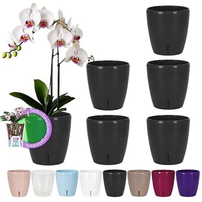 Santino Lot de 6 pots à arrosage automatique avec système de mèche et indicateur de niveau d'eau pour l'intérieur, pot d'orchidée D 12 cm (anthracite, 1,3 l) Santino Lot de 6 pots à arrosage automatique avec système de mèche et indicateur de niveau d'eau pour l'intérieur, pot d'orchidée D 12 cm (anthracite, 1,3 l)