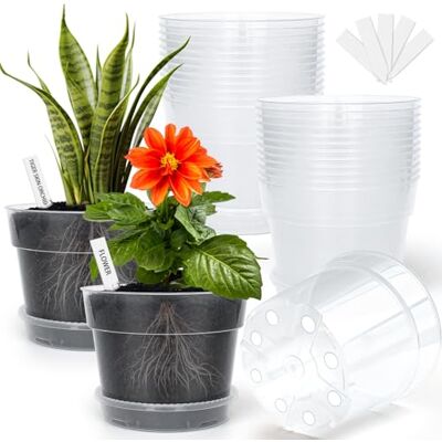 BTPLASTIK Lot de 15 pots transparents de 15,2 cm, pots de semences de transplantation avec coussinets en maille anti-fuite, pots en plastique avec drainage – Convient pour le démarrage de graines et BTPLASTIK Lot de 15 pots transparents de 15,2 cm, pots de semences de transplantation avec coussinets en maille anti-fuite, pots en plastique avec drainage – Convient pour le démarrage de graines et