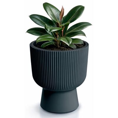 Prosperplast Pot de fleurs design (Anthracite) Prosperplast Pot de fleurs design (Anthracite)