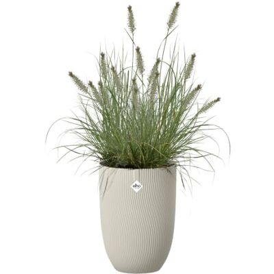 Elho sereh haut 30cm pot de fleurs Mushroom Beige Elho sereh haut 30cm pot de fleurs Mushroom Beige