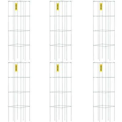 VEVOR Lot de 6 cages à tomates carrées de 37,1 x 37,1 x 100,1 cm, en acier avec revêtement en PVC vert, pour légumes grimpants, plantes, fleurs, fruits VEVOR Lot de 6 cages à tomates carrées de 37,1 x 37,1 x 100,1 cm, en acier avec revêtement en PVC vert, pour légumes grimpants, plantes, fleurs, fruits