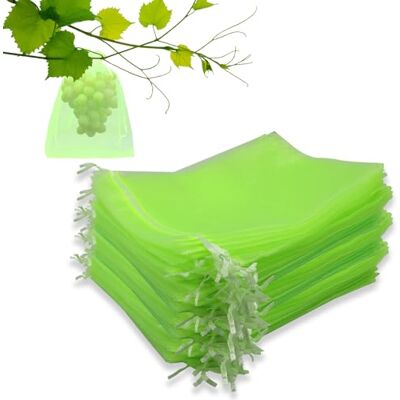 Leeyunbee Lot de 100 sachets de protection pour raisins, 17 x 23 cm, avec cordon de serrage, pour protéger contre les oiseaux, les guêpes, les mouches des fruits (vert clair) Leeyunbee Lot de 100 sachets de protection pour raisins, 17 x 23 cm, avec cordon de serrage, pour protéger contre les oiseaux, les guêpes, les mouches des fruits (vert clair)