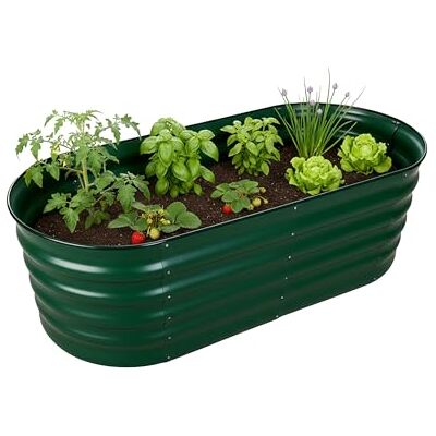 Relaxdays Jardinière surélevée en métal galvanisé pour fleurs, plantes et légumes, H x l x P : 45 x 150 x 60 cm, jardinière ovale, vert Relaxdays Jardinière surélevée en métal galvanisé pour fleurs, plantes et légumes, H x l x P : 45 x 150 x 60 cm, jardinière ovale, vert