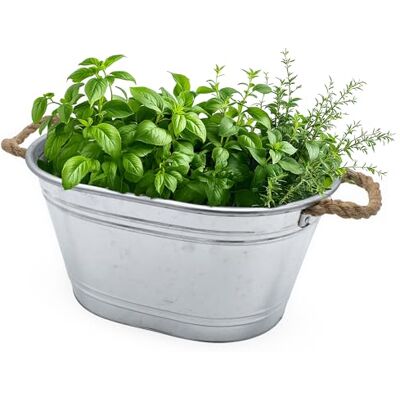 Spetebo Bac à fleurs ovale en zinc avec poignées en cordon naturel 43 x 30 cm Petit pot de fleurs en métal argenté galvanisé Décoration de jardin Spetebo Bac à fleurs ovale en zinc avec poignées en cordon naturel 43 x 30 cm Petit pot de fleurs en métal argenté galvanisé Décoration de jardin