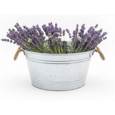 Spetebo Bassin décoratif en zinc 25L avec poignées en corde de jute 45 x 22 cm Métal argenté galvanisé Mini étang de jardin / Bac à fleurs / Bac décoratif pour jardin Spetebo Bassin décoratif en zinc 25L avec poignées en corde de jute 45 x 22 cm Métal argenté galvanisé Mini étang de jardin / Bac à fleurs / Bac décoratif pour jardin