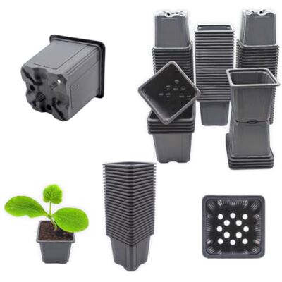 Verdonia 70 Godets Plastique 8cm pour Semis, Repiquage, Bouturage Réutilisables et Résistants Pots Pratiques avec Trous de Drainage – Pot en Plastique pour Culture des Jeunes Plantes Verdonia 70 Godets Plastique 8cm pour Semis, Repiquage, Bouturage Réutilisables et Résistants Pots Pratiques avec Trous de Drainage – Pot en Plastique pour Culture des Jeunes Plantes