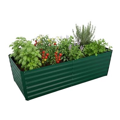 Relaxdays Relax Jardinière surélevée, en métal galvanisé, pour fleurs, plantes et légumes, H x l x P : 60 x 200 x 100 cm, jardinière carrée, verte Relaxdays Relax Jardinière surélevée, en métal galvanisé, pour fleurs, plantes et légumes, H x l x P : 60 x 200 x 100 cm, jardinière carrée, verte