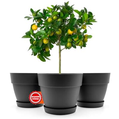 BigDean Lot de 3 pots de fleurs ronds avec soucoupe, diamètre 47 cm, anthracite, cache-pot pour l'intérieur et l'extérieur, en plastique incassable et fabriqué en Europe BigDean Lot de 3 pots de fleurs ronds avec soucoupe, diamètre 47 cm, anthracite, cache-pot pour l'intérieur et l'extérieur, en plastique incassable et fabriqué en Europe