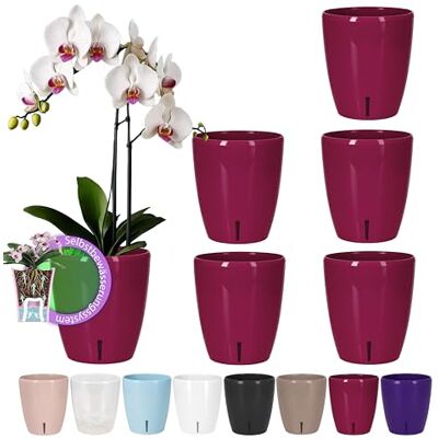 Santino Lot de 6 pots à arrosage automatique avec système de mèche et indicateur de niveau d'eau pour l'intérieur, pot à orchidée D 12 cm (violet, 1,3 l) Santino Lot de 6 pots à arrosage automatique avec système de mèche et indicateur de niveau d'eau pour l'intérieur, pot à orchidée D 12 cm (violet, 1,3 l)