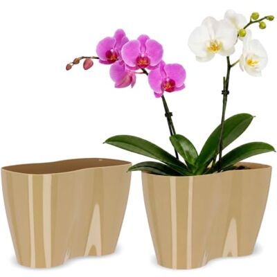 KADAX Pot de fleurs d'intérieur orchidées, fleurs, plantes, rebord de fenêtre, pot orchidée, pot de fleurs en plastique moderne, pot de fleurs (23,5 x 12 cm, beige) KADAX Pot de fleurs d'intérieur orchidées, fleurs, plantes, rebord de fenêtre, pot orchidée, pot de fleurs en plastique moderne, pot de fleurs (23,5 x 12 cm, beige)