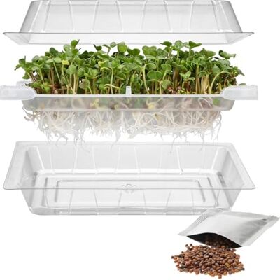 Browin 745748 Plateau de Germes + Graines de Radis, Kit Complet pour Faire Pousser des Germes à la Maison Transparent 18,5 x 12,5 cm Browin 745748 Plateau de Germes + Graines de Radis, Kit Complet pour Faire Pousser des Germes à la Maison Transparent 18,5 x 12,5 cm