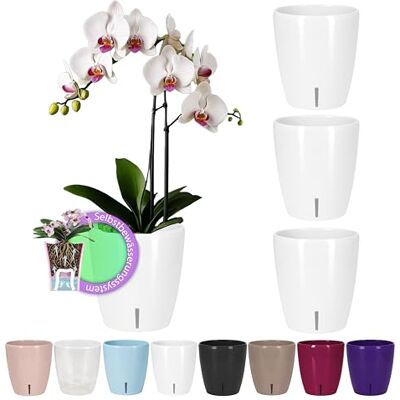 Santino ORCHIDEA Lot de 4 Pots à Orchidée avec Système de Mèche et Indicateur de Niveau d'eau (Diamètre: 15 cm, 2 L, Blanc) Santino ORCHIDEA Lot de 4 Pots à Orchidée avec Système de Mèche et Indicateur de Niveau d'eau (Diamètre: 15 cm, 2 L, Blanc)