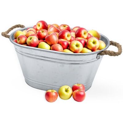 Spetebo Bac à fleurs et plantes en zinc galvanisé – 64 x 42 cm – Décoration de jardin Spetebo Bac à fleurs et plantes en zinc galvanisé – 64 x 42 cm – Décoration de jardin