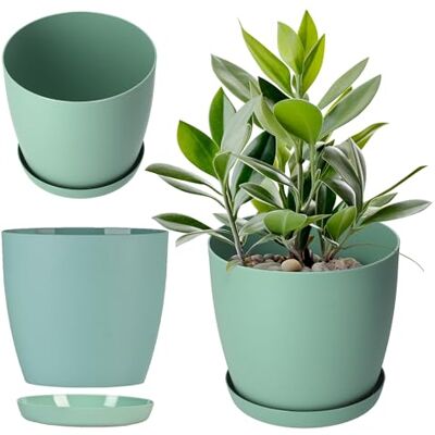 KADAX Pot de fleurs avec dessous de verre, pot rond en plastique, pot de fleurs mat pour cactus, fougères, pot brillant pour balcon, appartement et terrasse (20 cm, menthe) KADAX Pot de fleurs avec dessous de verre, pot rond en plastique, pot de fleurs mat pour cactus, fougères, pot brillant pour balcon, appartement et terrasse (20 cm, menthe)