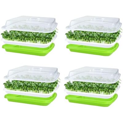 KAHEIGN Lot de 4 plateaux de germination de graines avec couvercle, 32 cm x 26 cm, grande capacité, sans BPA, propagateur hydroponique sain avec 24 feuilles de papier de plantation pour cultiver des KAHEIGN Lot de 4 plateaux de germination de graines avec couvercle, 32 cm x 26 cm, grande capacité, sans BPA, propagateur hydroponique sain avec 24 feuilles de papier de plantation pour cultiver des