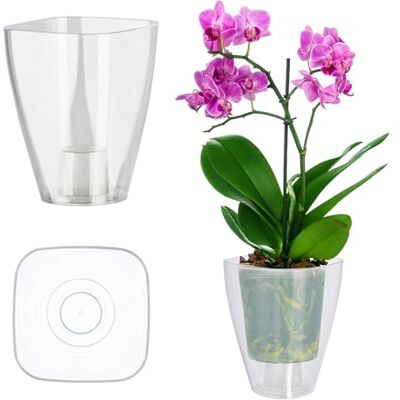 KADAX pots à fleurs/orchidées mince et sobre, pour orchidées, marguerites, cache-pot cuisine et salon (diamètre 12 cm, rectangulaire, transparent) KADAX pots à fleurs/orchidées mince et sobre, pour orchidées, marguerites, cache-pot cuisine et salon (diamètre 12 cm, rectangulaire, transparent)