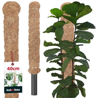 KOTARBAU ® Tuteur Plante Tuteur Coco ⌀ 2.5 x 40 cm Fibre de Coco Tuteurs pour Monstera Marron pour Plantes Grimpantes KOTARBAU ® Tuteur Plante Tuteur Coco ⌀ 2.5 x 40 cm Fibre de Coco Tuteurs pour Monstera Marron pour Plantes Grimpantes