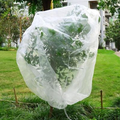 QWORK Filet de protection pour arbres fruitiers, 195 x 175 cm, filet anti-oiseaux avec cordon de serrage, pour myrtilles, fraises, légumes QWORK Filet de protection pour arbres fruitiers, 195 x 175 cm, filet anti-oiseaux avec cordon de serrage, pour myrtilles, fraises, légumes
