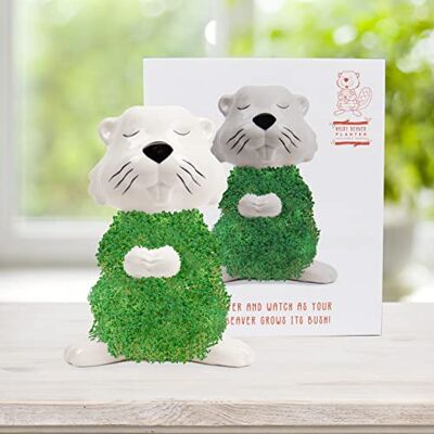 Gift Republic Plante en castorine La castor en céramique pour faire pousser des graines de chia Bol de culture en forme de castor Kit de démarrage de graines de chia Cadeau de Noël, Gift Republic Plante en castorine La castor en céramique pour faire pousser des graines de chia Bol de culture en forme de castor Kit de démarrage de graines de chia Cadeau de Noël,