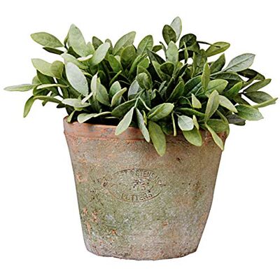 Esschert Design MP3/MP4 16 x 16 x 13 cm vieilli en terre cuite Pot de fleurs rond Esschert Design MP3/MP4 16 x 16 x 13 cm vieilli en terre cuite Pot de fleurs rond