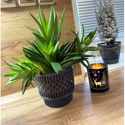 Kimmel Lot de 3 pots de fleurs classiques Ø 13 cm pour plantes succulentes, cactus, orchidées, plantes d'intérieur, ronds, en plastique, couleur gris, intérieur Kimmel Lot de 3 pots de fleurs classiques Ø 13 cm pour plantes succulentes, cactus, orchidées, plantes d'intérieur, ronds, en plastique, couleur gris, intérieur