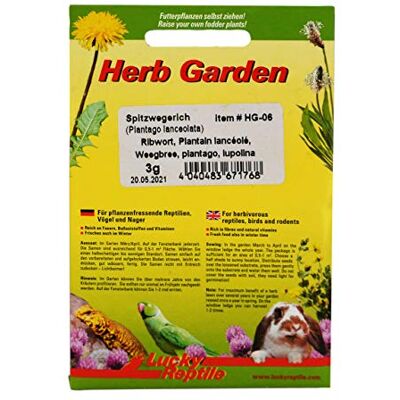 Lucky Reptile HG-06 Herb Garden Plantain 3 g Lucky Reptile HG-06 Herb Garden Plantain 3 g