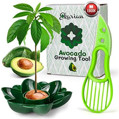 Ekarian Outil de culture d'avocat Cadeau pour femme Faites pousser votre propre plante d'avocat Cadeau d'anniversaire Trancheuse d'avocat Cadeau pour petite amie Avec e-book gratuit Ekarian Outil de culture d'avocat Cadeau pour femme Faites pousser votre propre plante d'avocat Cadeau d'anniversaire Trancheuse d'avocat Cadeau pour petite amie Avec e-book gratuit