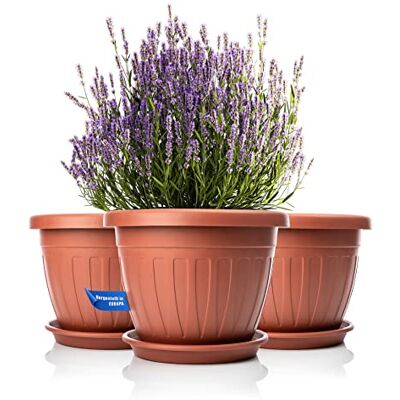 BigDean Lot de 3 pots de fleurs ronds avec soucoupe Ø 40 x H 31 cm Terracotta – Pot de fleurs résistant aux intempéries – Évacuation de l'eau résistante aux UV en plastique incassable – Convient pour l'intérieur et l'extérieur – Fabriqué en Europe BigDean Lot de 3 pots de fleurs ronds avec soucoupe Ø 40 x H 31 cm Terracotta – Pot de fleurs résistant aux intempéries – Évacuation de l'eau résistante aux UV en plastique incassable – Convient pour l'intérieur et l'extérieur – Fabriqué en Europe