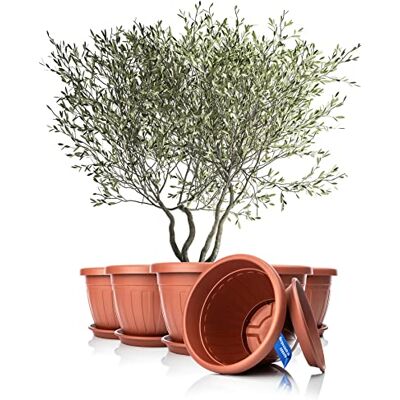 BigDean Lot de 6 pots de fleurs ronds avec soucoupe Ø 50 x H 38 cm Terracotta – Jardinière résistante aux intempéries – Évacuation de l'eau résistante aux UV en plastique incassable – Convient pour l'intérieur et l'extérieur – Fabriqué en Europe BigDean Lot de 6 pots de fleurs ronds avec soucoupe Ø 50 x H 38 cm Terracotta – Jardinière résistante aux intempéries – Évacuation de l'eau résistante aux UV en plastique incassable – Convient pour l'intérieur et l'extérieur – Fabriqué en Europe