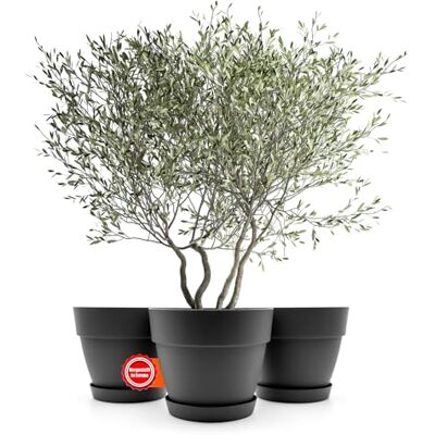 BigDean Lot de 3 pots de fleurs ronds avec soucoupe, diamètre 40 cm, anthracite, cache-pot pour l'intérieur et l'extérieur, en plastique incassable et fabriqué en Europe BigDean Lot de 3 pots de fleurs ronds avec soucoupe, diamètre 40 cm, anthracite, cache-pot pour l'intérieur et l'extérieur, en plastique incassable et fabriqué en Europe