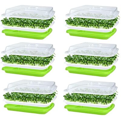 KAHEIGN Lot de 6 bols à germes pour germes, bac à germes 32 cm x 26 cm Avec couvercle pour grandes graines Bac à germination Pour la culture de haricots mungo Alfalfa Herbe de blé KAHEIGN Lot de 6 bols à germes pour germes, bac à germes 32 cm x 26 cm Avec couvercle pour grandes graines Bac à germination Pour la culture de haricots mungo Alfalfa Herbe de blé