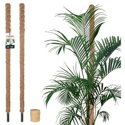 KOTARBAU ® 2 pcs Tuteur Plante Tuteur Coco ⌀ 3.2 x 120 cm Fibre de Coco Tuteurs pour Monstera Marron pour Plantes Grimpantes KOTARBAU ® 2 pcs Tuteur Plante Tuteur Coco ⌀ 3.2 x 120 cm Fibre de Coco Tuteurs pour Monstera Marron pour Plantes Grimpantes