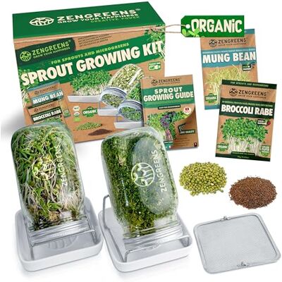 zengreens ® Kit de germoir pour graines à germer bio – Lot de 1, 2 ou 3 bocaux à pousses – Comprend bocal à germes, plateau de germination et semences – Contient guide et vidéo-cours de culture zengreens ® Kit de germoir pour graines à germer bio – Lot de 1, 2 ou 3 bocaux à pousses – Comprend bocal à germes, plateau de germination et semences – Contient guide et vidéo-cours de culture