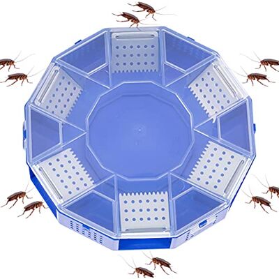 Tumnea Piège à cafards lutte antiparasitaire répulsif cafards attrape-cafards Boîte de piège à cafards non toxique Réutilisable Protection de l'environnement Tumnea Piège à cafards lutte antiparasitaire répulsif cafards attrape-cafards Boîte de piège à cafards non toxique Réutilisable Protection de l'environnement