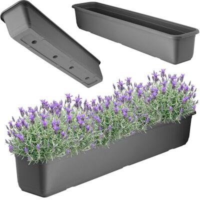 KADAX Jardinière 80 cm anthracite – Jardinière de balcon en plastique de qualité supérieure pour intérieur et extérieur, pot de fleurs pour balcon, terrasse, rebord de fenêtre KADAX Jardinière 80 cm anthracite – Jardinière de balcon en plastique de qualité supérieure pour intérieur et extérieur, pot de fleurs pour balcon, terrasse, rebord de fenêtre