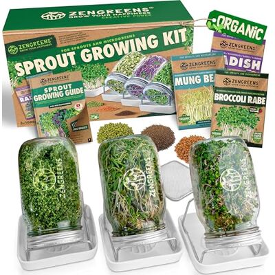 zengreens ® Kit de germoir pour graines à germer bio – Lot de 1, 2 ou 3 bocaux à pousses – Comprend bocal à germes, plateau de germination et semences – Contient guide et vidéo-cours de culture zengreens ® Kit de germoir pour graines à germer bio – Lot de 1, 2 ou 3 bocaux à pousses – Comprend bocal à germes, plateau de germination et semences – Contient guide et vidéo-cours de culture