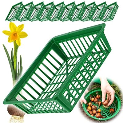 KADAX Lot de 10 paniers à bulbes en plastique 2 formes Pour la floraison printanière 28 x 26 cm KADAX Lot de 10 paniers à bulbes en plastique 2 formes Pour la floraison printanière 28 x 26 cm