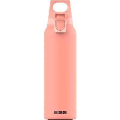 Sigg Gourde Isotherme Thermo Flask Hot & Cold ONE Light Avec Filtre À Fruits Étanche Sans BPA Acier Inoxydable 18/8 Rose 0,55L Sigg Gourde Isotherme Thermo Flask Hot & Cold ONE Light Avec Filtre À Fruits Étanche Sans BPA Acier Inoxydable 18/8 Rose 0,55L