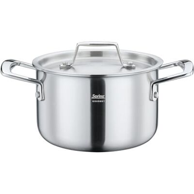 Spring Gourmet Faitout avec couvercle Ø 16 cm, 2,0 l, acier inoxydable, passe au four et au lave-vaisselle, matériau multicouche, noyau en aluminium, marmite pour tous les types de plaques de cuisson Spring Gourmet Faitout avec couvercle Ø 16 cm, 2,0 l, acier inoxydable, passe au four et au lave-vaisselle, matériau multicouche, noyau en aluminium, marmite pour tous les types de plaques de cuisson